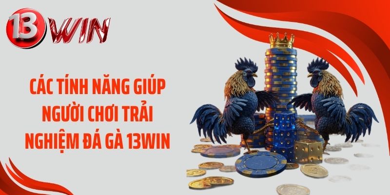Các tính năng giúp người chơi trải nghiệm đá gà 13WIN