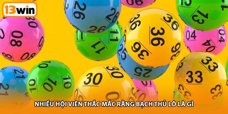 Nhiều hội viên thắc mắc rằng bạch thủ lô là gì 